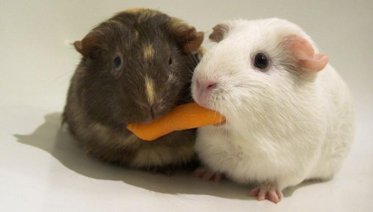 Sharing is Good Sharing is Good