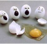 Funny-and-Clever-Egg-Photography
