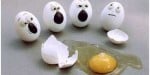 Funny-and-Clever-Egg-Photography