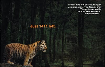 Save Tigers