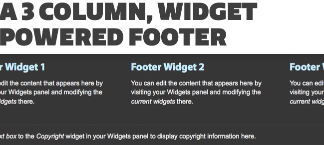 Widgetized Footer