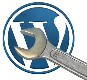 WordPress 3.0.1