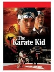 The Karate Kid Movie