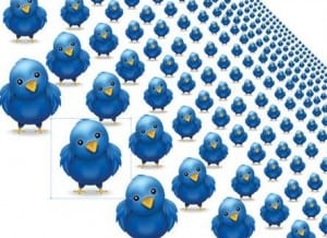 Increase Twitter Followers