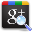 Google Plus Search