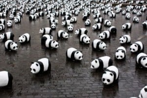 Google Panda