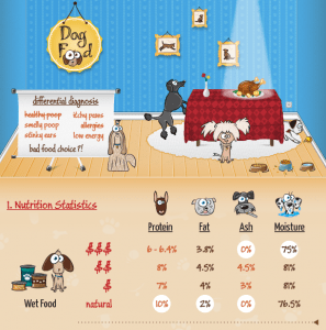 Dog Food Infographic Screenshot