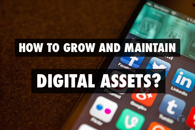 Grow and Maintain Digital Assets