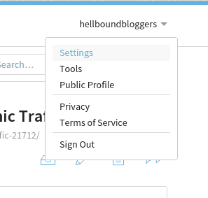 Bitly Settings Option