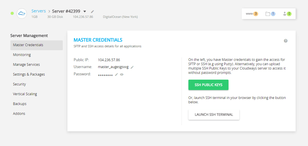 Cloudways Server Management