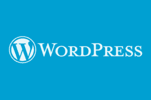 Why You Need A WordPress Blog