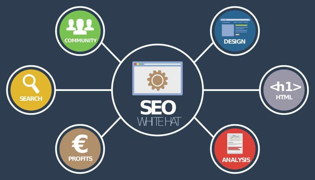 5 Reasons Why Your Business Needs SEO