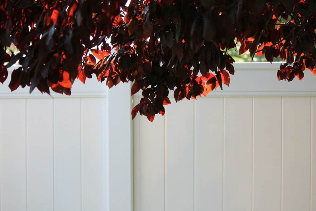 Reasons Why You Require A Vinyl Fence